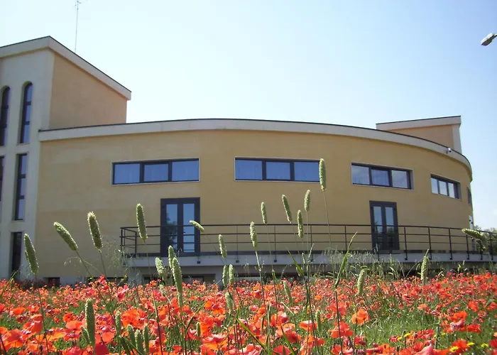 Casa Di Ospitalita Religiosa San Francesco D'Assisi - Ba